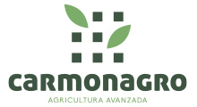 logo carmonagro