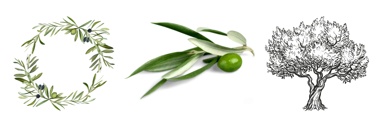 olivo