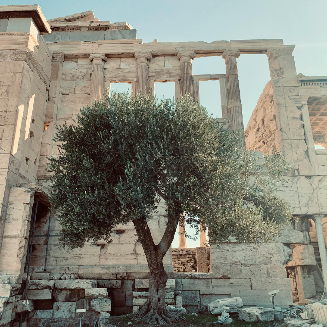 grecia
